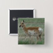 A31 Gaffelantilope Doe Vierkante Button 5,1 Cm (Voorkant /achterkant)