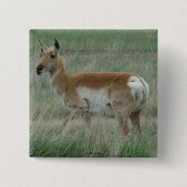 A31 Gaffelantilope Doe Vierkante Button 5,1 Cm
