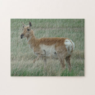 A31 Gaffelbok-antilope-vrouwtje Legpuzzel