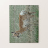 A31 Gaffelbok-antilope-vrouwtje Legpuzzel (Verticaal)