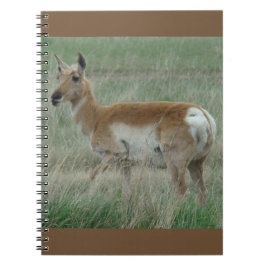 A31 Pronghorn Antelope Doe Notitieboek