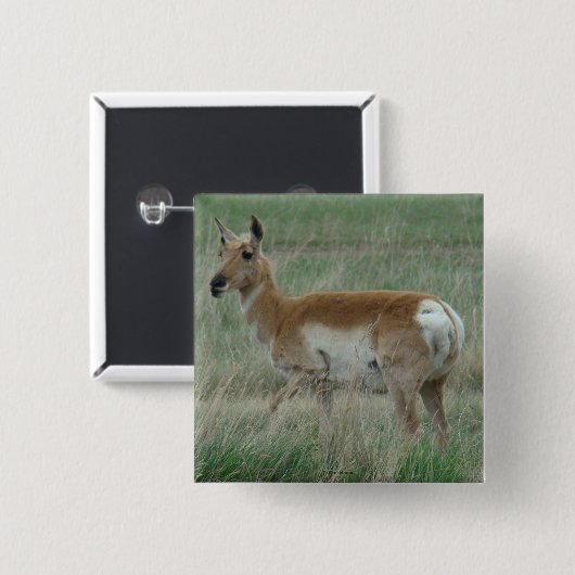 A31 Pronghorn Antelope Doe Vierkante Button 5,1 Cm (Voorkant /achterkant)