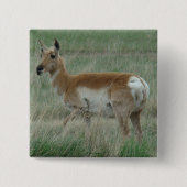 A31 Pronghorn Antelope Doe Vierkante Button 5,1 Cm (Voorkant)