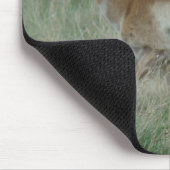 A31 Vorkhoorn Antilope Doe Muismat (Hoek)