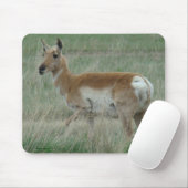 A31 Vorkhoorn Antilope Doe Muismat (Met muis)