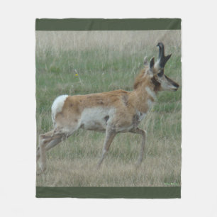 A32 Gaffelbok Ram Fleece Deken