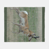 A32 Pronghorn Antelope Buck Fleece Deken (Voorkant (Horizontaal))