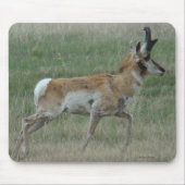 A32 Pronghorn Antelope Buck Muismat (Voorkant)