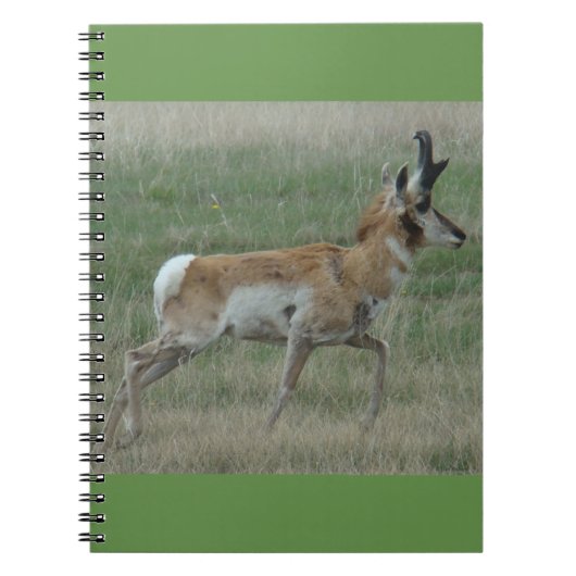 A32 Pronghorn Antelope Buck Notitieboek (Voorkant)