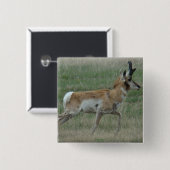 A32 Pronghorn Antelope Buck Vierkante Button 5,1 Cm (Voorkant /achterkant)