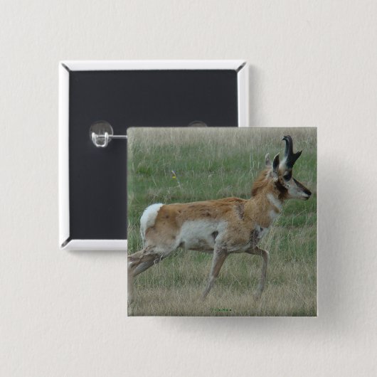 A32 Pronghorn Antelope Buck Vierkante Button 5,1 Cm (Voorkant /achterkant)