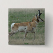 A32 Pronghorn Antelope Buck Vierkante Button 5,1 Cm (Voorkant)
