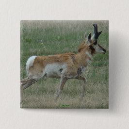 A32 Pronghorn Antelope Buck Vierkante Button 5,1 Cm