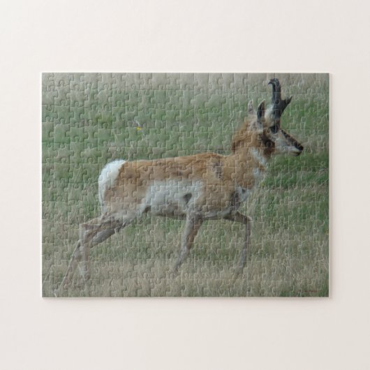 A32 Pronghorn Antelope Legpuzzel (Horizontaal)