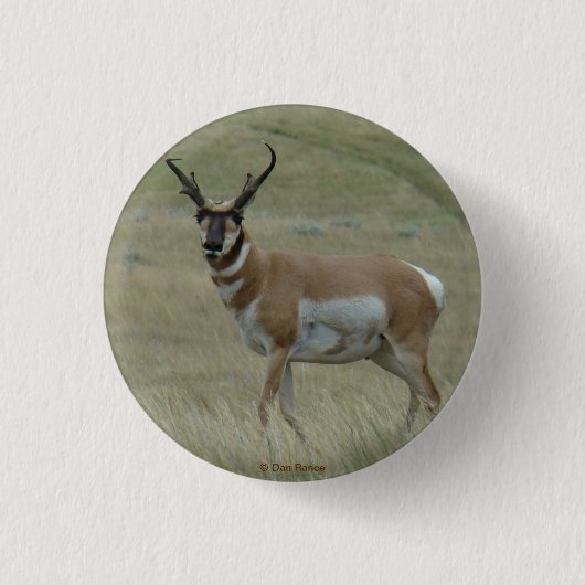 A33 Gaffelbok Hert Kromme Hoorns Ronde Button 3,2 Cm (Voorkant)