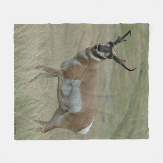 A33 Pronghorn Antelope Big Buck Crooked Horns Fleece Deken (Voorkant (Horizontaal))