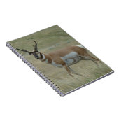 A33 Pronghorn Antelope Buck Crooked Horns Notitieboek (Rechterzijde)
