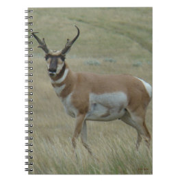 A33 Pronghorn Antelope Buck Crooked Horns Notitieboek