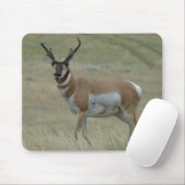 A33 Pronghorn Antelope Crooked Horns Buck Muismat (Met muis)