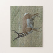 A33 Pronghorn Antelope Crooked Horns Legpuzzel (Verticaal)