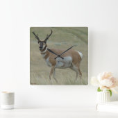 A33 Pronghorn Antelope Crooked Horns Vierkante Klok (Huis)