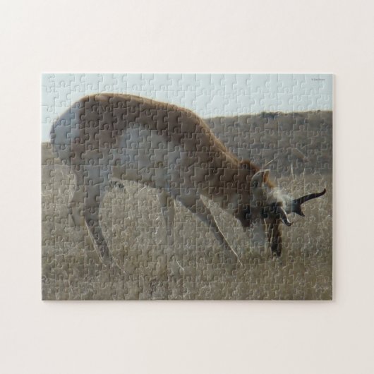A34 Gaffelbok Hertenbok Kromme Hoorns Legpuzzel (Horizontaal)