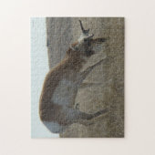A34 Gaffelbok Hertenbok Kromme Hoorns Legpuzzel (Verticaal)