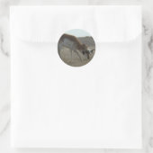 A34 Gaffelbok Hertengewei Ronde Sticker (Tas)