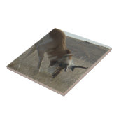 A34 Pronghorn Antelope Crooked Horns Tegeltje (Zijkant)