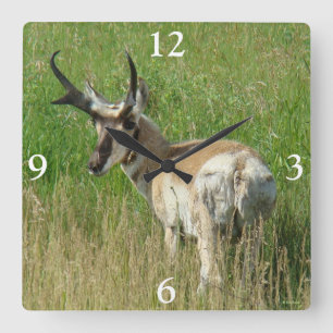 A35 Gaffelbok-antilope-reu Vierkante Klok