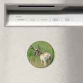 A35 Gaffelbok hertengewei Magneet (Insitu (Vaatwasser))