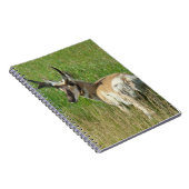 A35 Gaffelbok Ram Notitieboek (Rechterzijde)