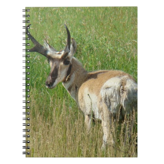 A35 Gaffelbok Ram Notitieboek (Voorkant)