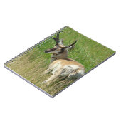 A35 Pronghorn Antelope Buck Notitieboek (Linkerzijde)