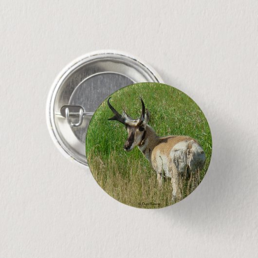 A35 Pronghorn Antelope Buck Ronde Button 3,2 Cm (Voorkant /achterkant)