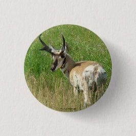 A35 Pronghorn Antelope Buck Ronde Button 3,2 Cm