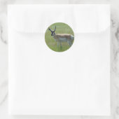 A36 Gaffelbok-antilope mannetje Ronde Sticker (Tas)