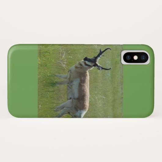 A36 Gaffelbok Case-Mate iPhone Case (Achterkant (horizontaal))
