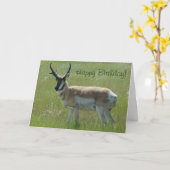 A36 Gaffelbok Grote Bok Kaart (Gele Bloem)