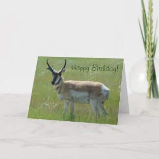 A36 Gaffelbok Grote Bok Kaart