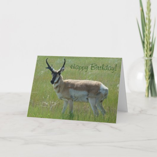 A36 Gaffelbok Grote Bok Kaart (Voorkant)