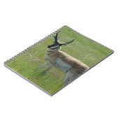 A36 Gaffelbok Ram Notitieboek (Linkerzijde)