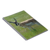 A36 Pronghorn Antelope Buck Notitieboek (Rechterzijde)