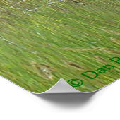 A36 Pronghorn Antelope Buck Poster (Hoek)