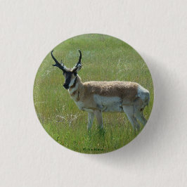 A36 Pronghorn Antelope Buck Ronde Button 3,2 Cm
