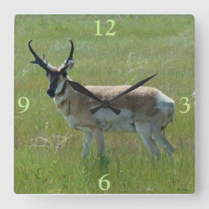 A36 Pronghorn Antelope Buck Vierkante Klok
