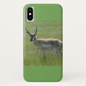 A36 Pronghorn Antelope Case-Mate iPhone Case (Achterkant)