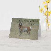 A37 Bochtige Hoornen van de Bok van de Antilope Kaart (Gele Bloem)