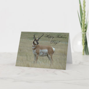 A37 Bochtige Hoornen van de Bok van de Antilope Kaart