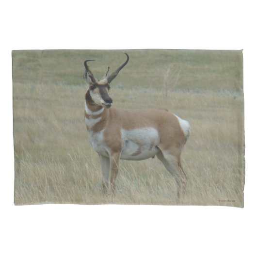A37 Gaffelantilope Grote Bok Kromme Hoorns Kussensloop (Voorkant)